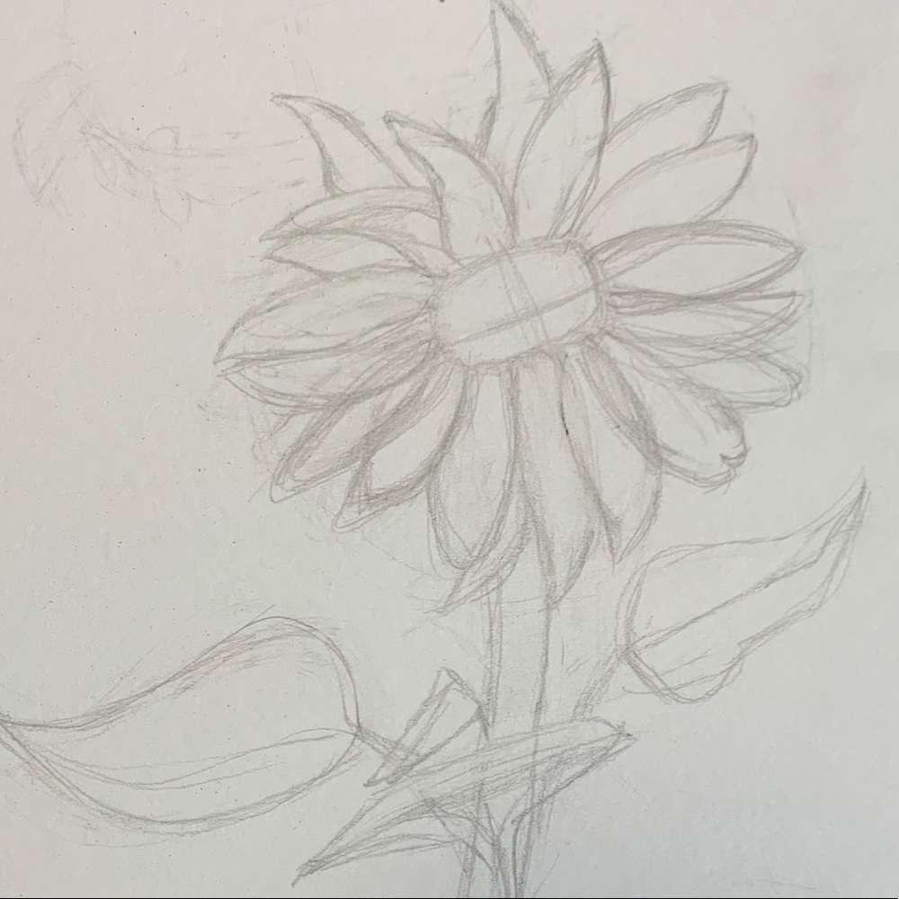 Meet your Posher, Amalie